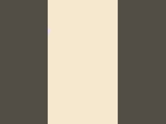 200 g de tejido de algodón sólido de punto, de algodón peinado 40S de textura